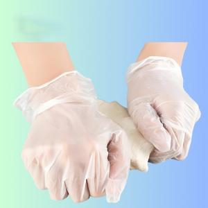 Disposable Vinyl Gloves Powder Free
