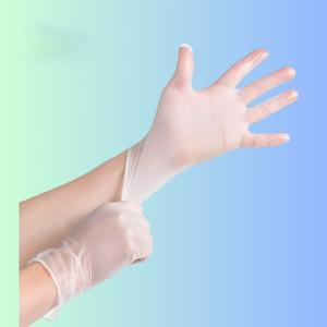 Disposable  Vinyl  PVC gloves  Powder Free